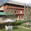 Honeymoon Inn