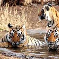 Golden Triangle Student Tour with Ranthambore