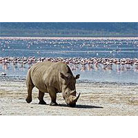 Lake Nakuru National Park Tour