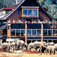 Samburu - Aberdare - Amboseli Tour