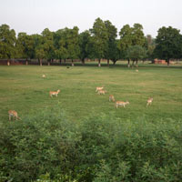 Over Night Jaipur Tour Over Night Jaipur Tour