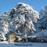 Shimla Tour Shimla Tour