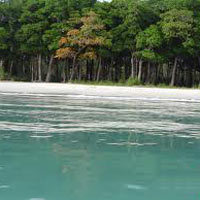 Chidiya Tapu Tour Package Chidiya Tapu Tour Package