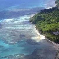 Neil Island Tour Package Neil Island Tour Package