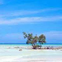 Red Skin Island Tour Package Red Skin Island Tour Package