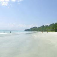 Complex Baratang Tour Package Complex Baratang Tour Package