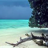 Ross Island Tour in Andaman Ross Island Tour in Andaman