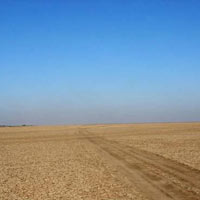 Gujarat Holidays - Desert and Beach 4N/5D Tour