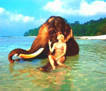 Amazing Andman with Elephata Beach