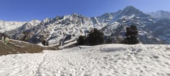 Snow Line Camping Dhauladhar Range Dharmshala Himachal Pardesh