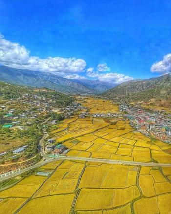 Paro  - Paddy cladded valley