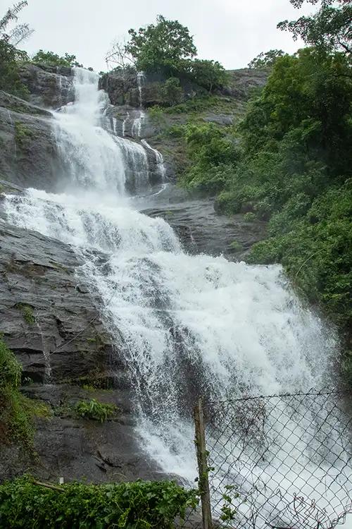 Wayanad