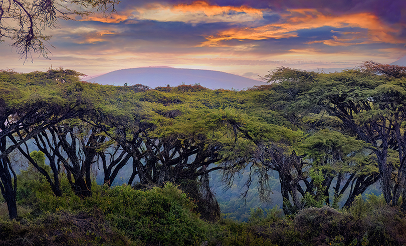 Sun rise - Ngorongoro Crater Rim