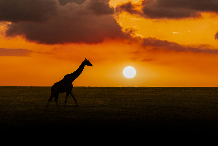 Sun set - Serengeti Park