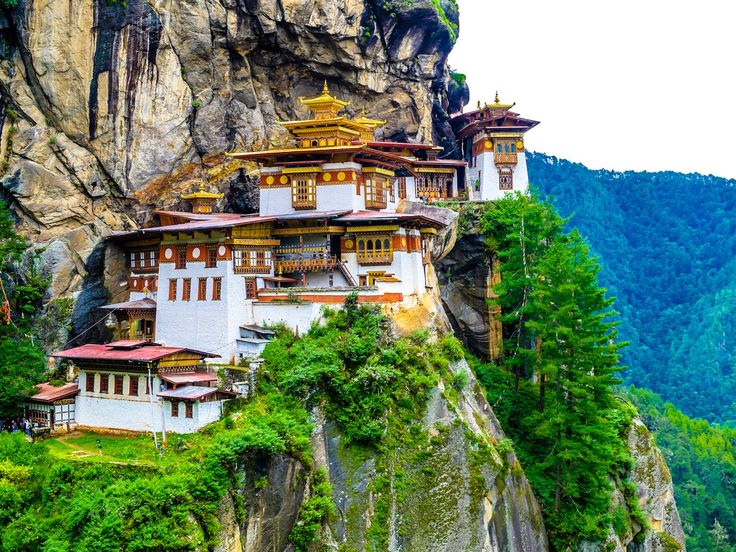 Discover the Hiden Treasure Tigers Nest