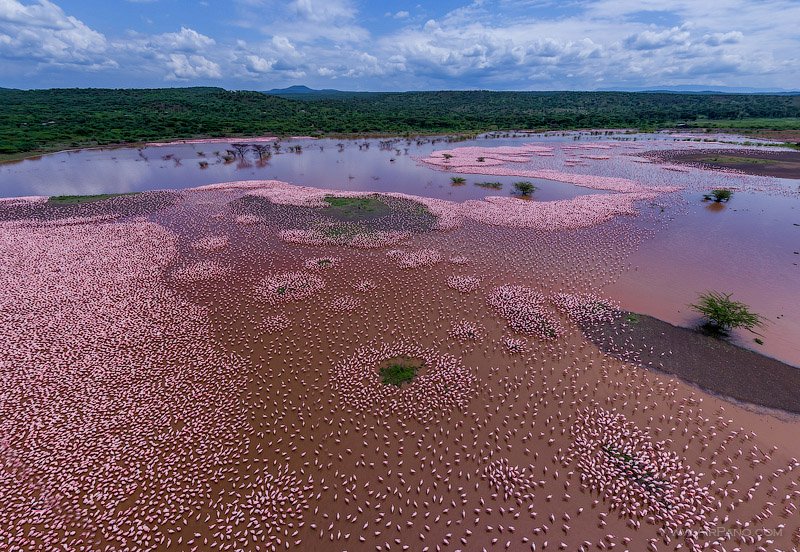 nakuru-bogoria
