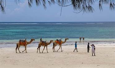 latest mombasa diani beach images
