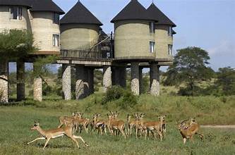 latest images salt lick safari tour