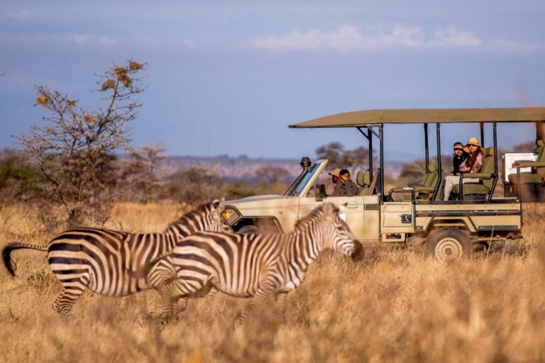 Mikumi national park