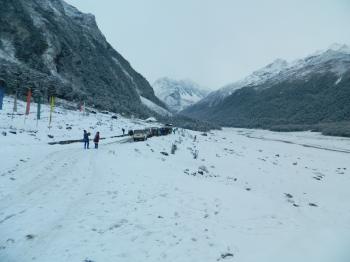 Chopta Valley - North Sikkim