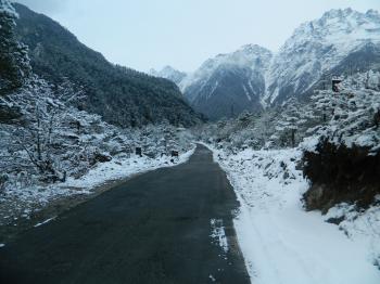 Lachen - North Sikkim