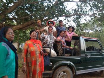 Gir Jungle Safari