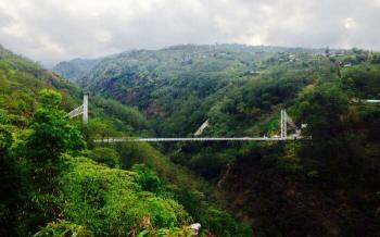 Singshore Bridge(Pelling)