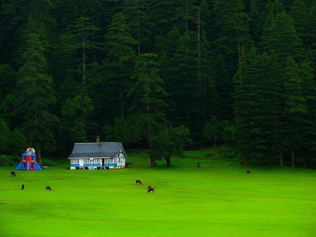 Delights of Himachal Tour