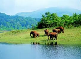 Kerala with Periyar Wildlife Tour