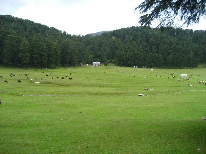 Complete Himachal Tour Package 9N/10D