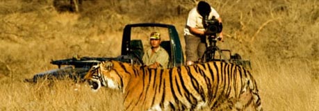 6 Days Wildlife Tiger Tour
