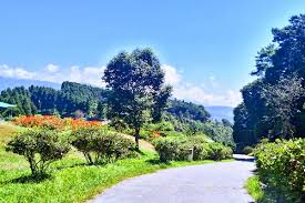 7 Days North East Tour With Kalimpong Package