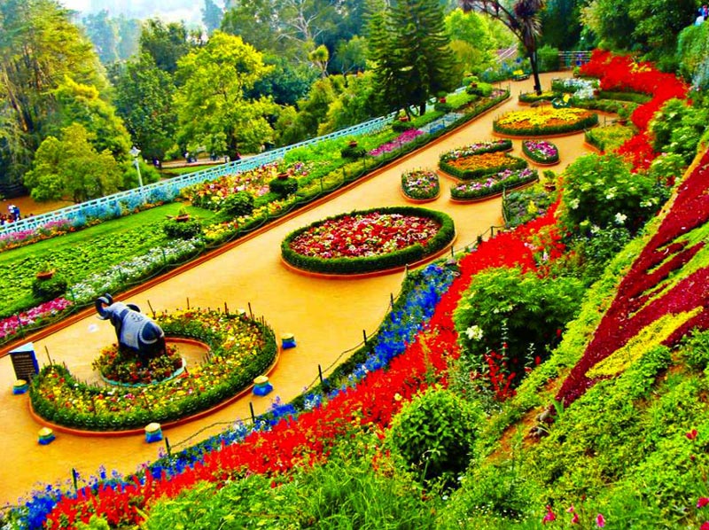 Ooty Tour Packages: 3N/4D