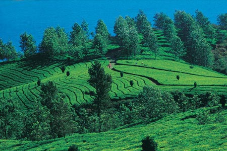 Alluring South India Tour