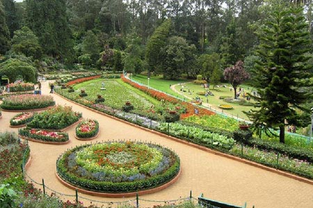 A Vivifying Vacation to Ooty Tour