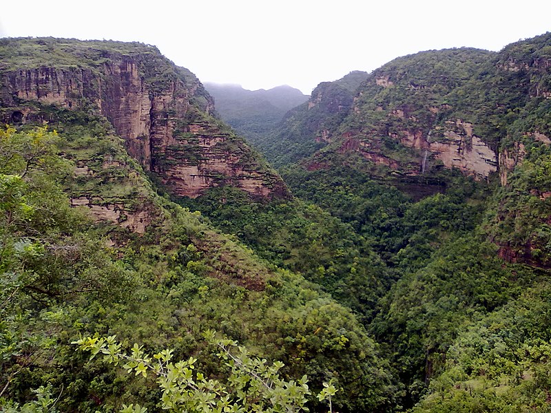 Pachmarhi Delights
