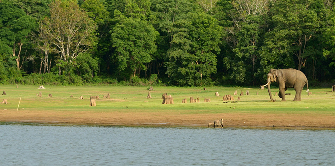 Nature & Wildlife Tour in Karnataka Tour