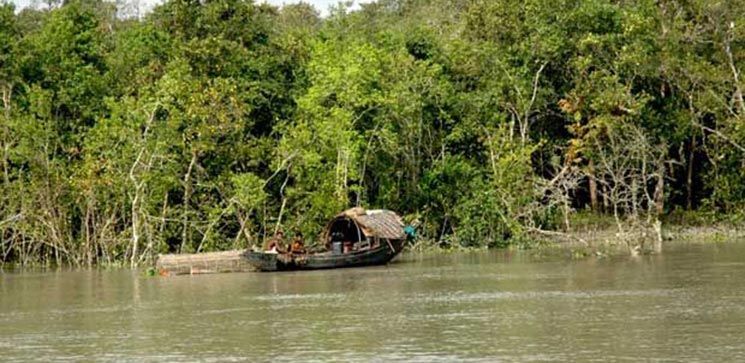 Sundarban Tour Form Kolkata 2 Day