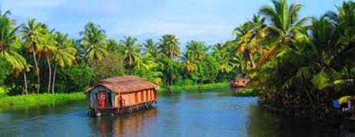 Kerala Hill Station & Backwater Tour Package