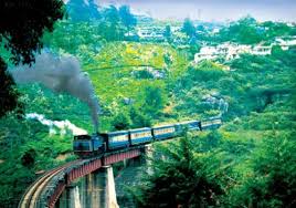 6 Nights and 7 Days Package – Bangalore, Mysore, Wayanad and Ooty