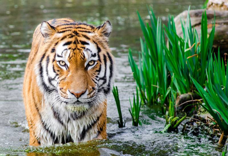 Sundarban Ilish Utsav 2022 Tour