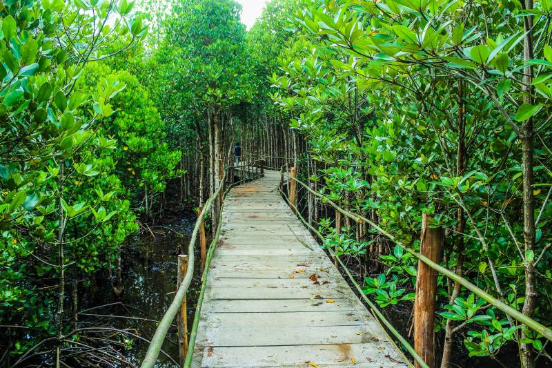 Sundarban Ilish Utsav 2022 Tour