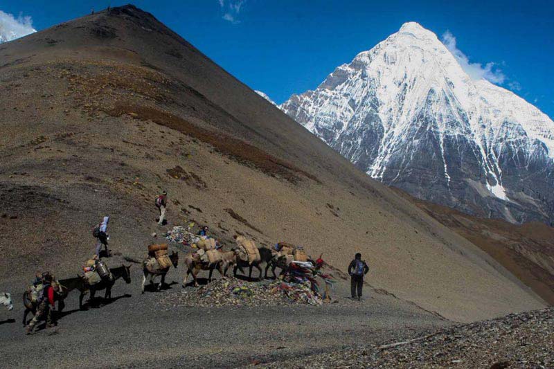 Laya Gasa Trekking Tour