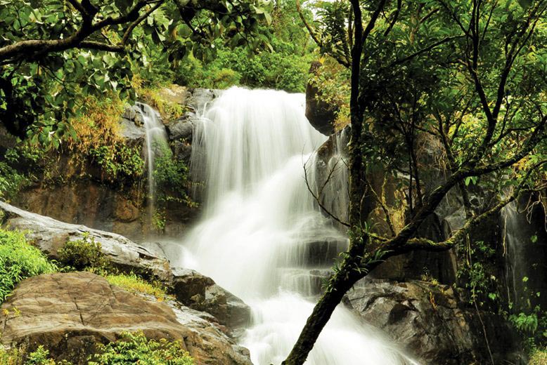 Delightful Coorg with Kabini Tour