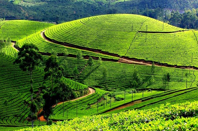 Awesome Deluxe Kerala Tour