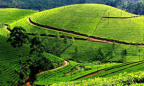 Kerala Economy Tour