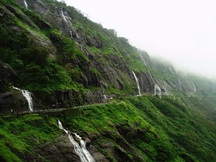 Experience Wayanad with Cgh4 Days & 3 Nights Tour