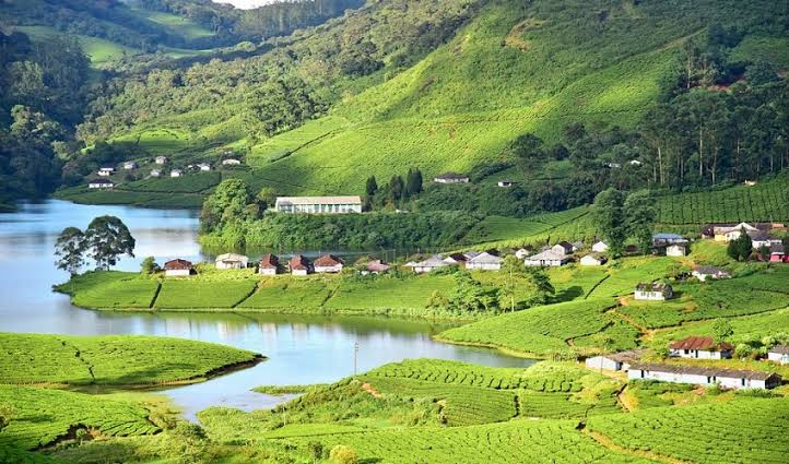 7 Nights 8 Days - Classic Kerala Tour