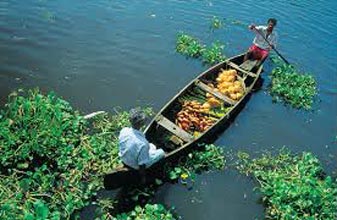 Munnar and Alleppey 3 Star Package for 4 days Tour