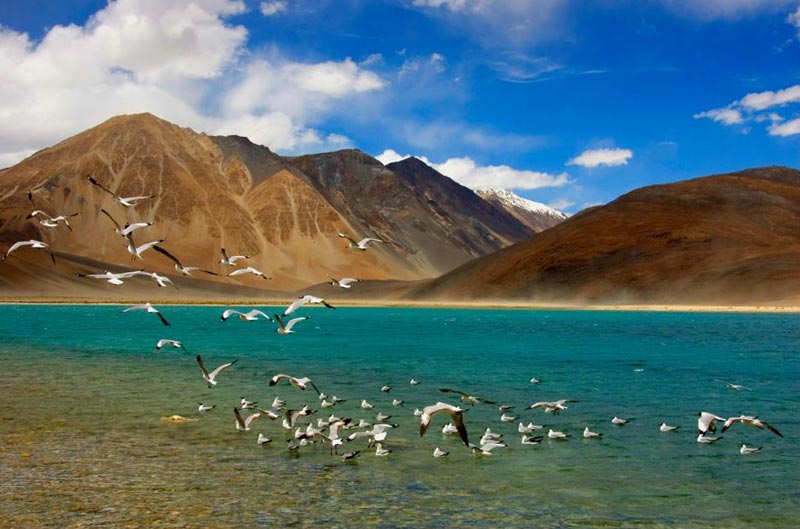 Ladakh Package For 5 Nights with Deluxe Hotels Tour